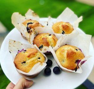 How to make Gluten-Free Vegan Blueberry Muffins 4 Blueberry Muffins easy recipes