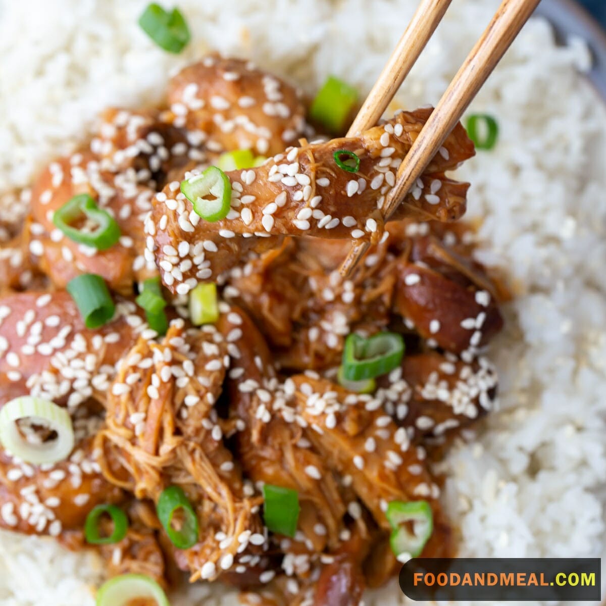 10+ Tasty Slow Cooker Recipes You Can Make At Home 7
